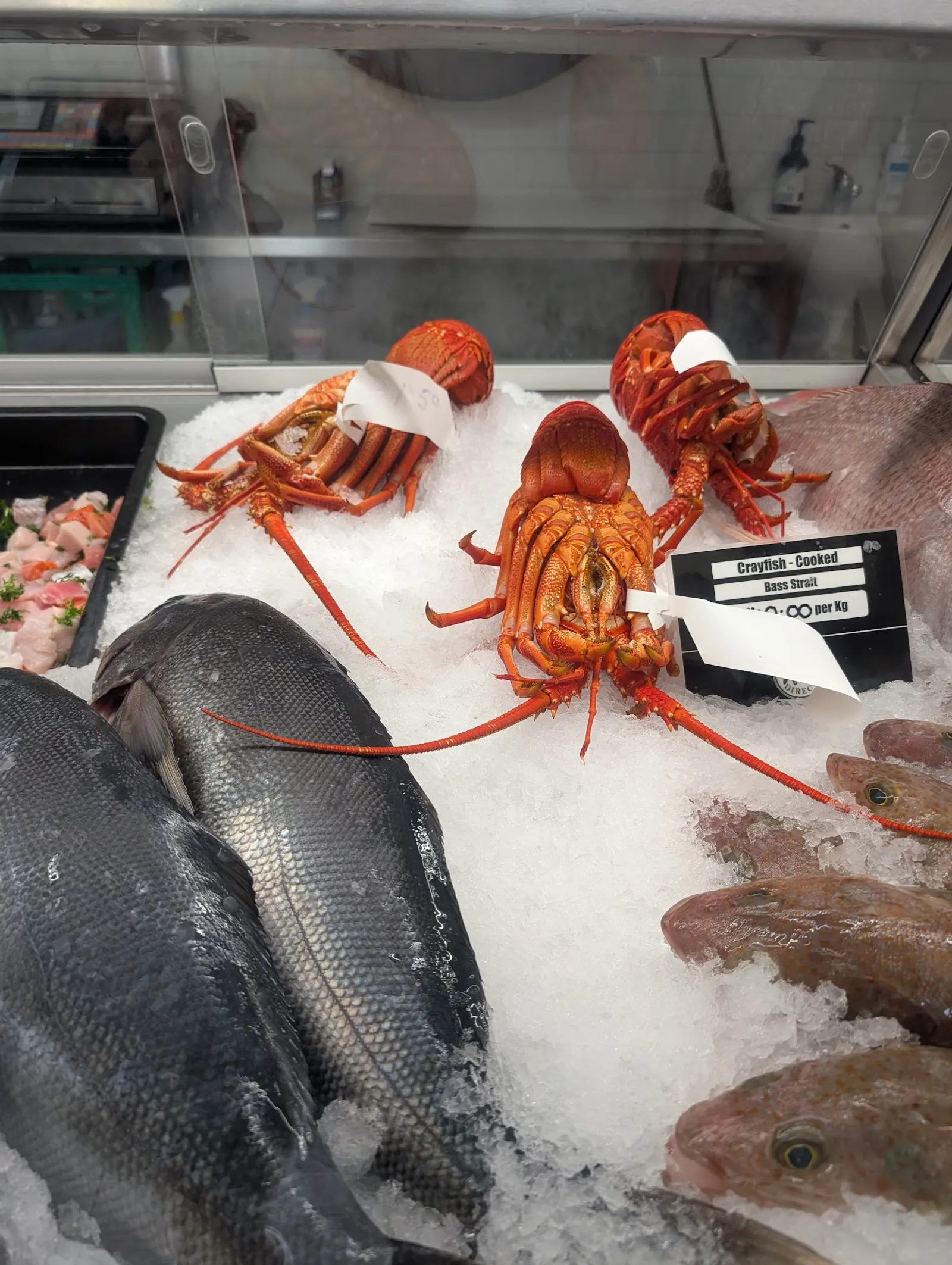 Display case with cooked crayfish on ice alongside fresh whole fish
